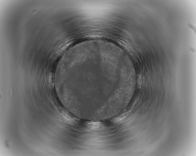 X0000094960428200712271724
