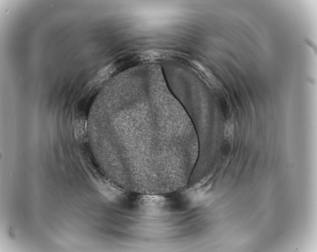 X0000094960429200712271724