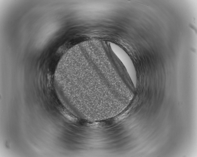 X0000094960430200712271724
