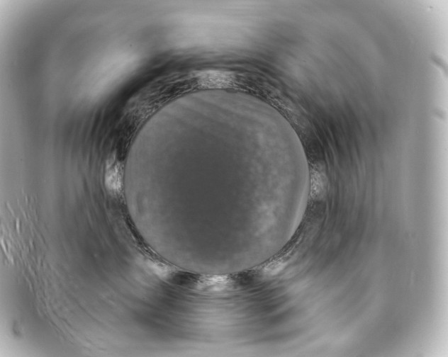 X0000094960431200712271724