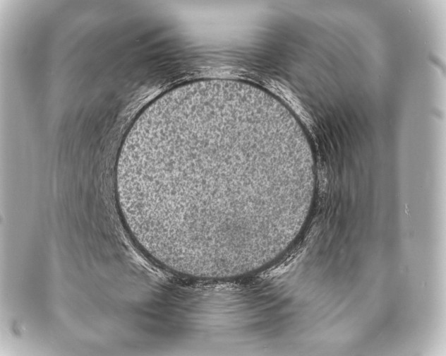 X0000094960433200712271723