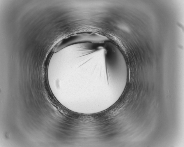 X0000094960435200712271723