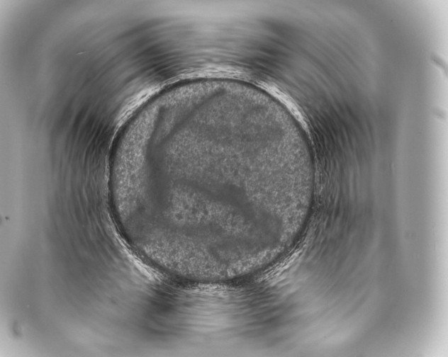 X0000094960437200712271723
