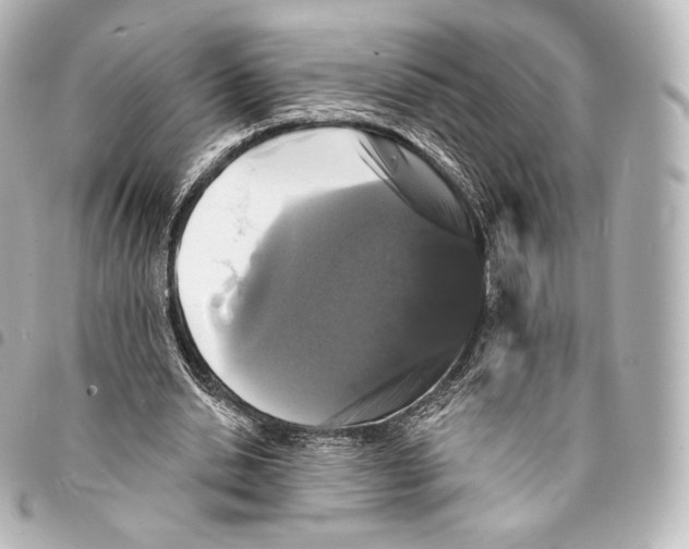 X0000094960438200712271723