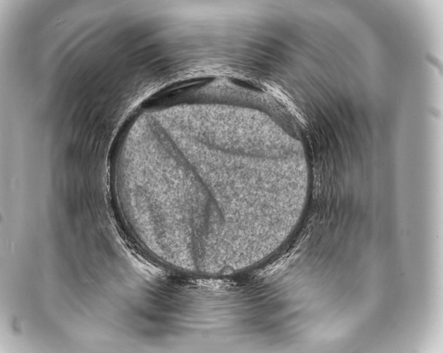X0000094960439200712271723