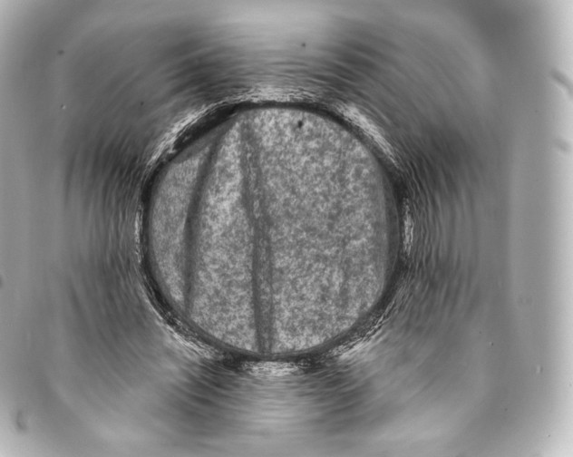X0000094960444200712271723