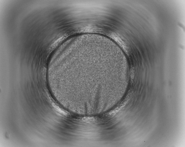 X0000094960445200712271723