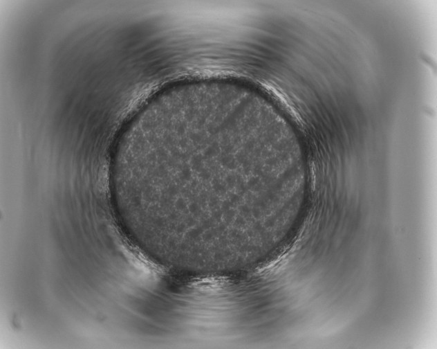 X0000094960447200712271723
