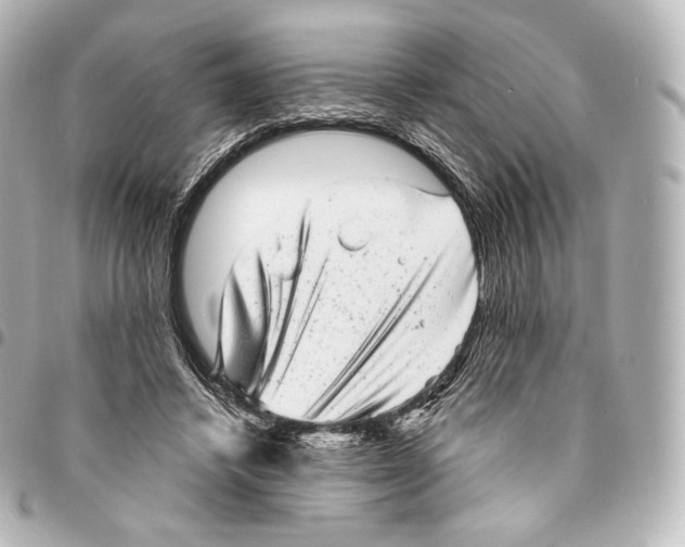 X0000094960448200712271723