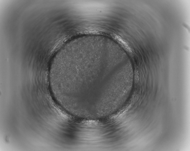 X0000094960449200712271723