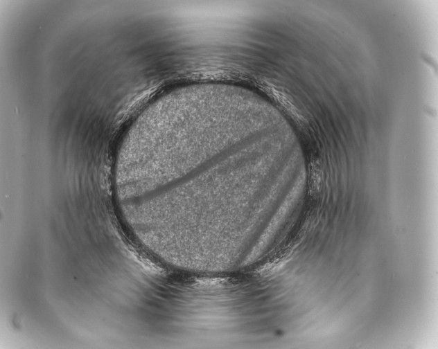 X0000094960450200712271723
