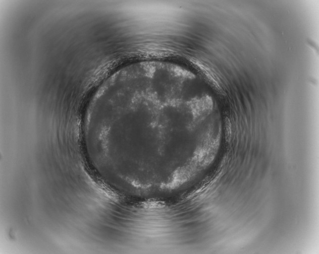 X0000094960451200712271723