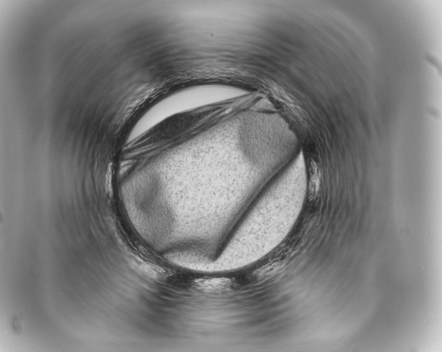 X0000094960452200712271723