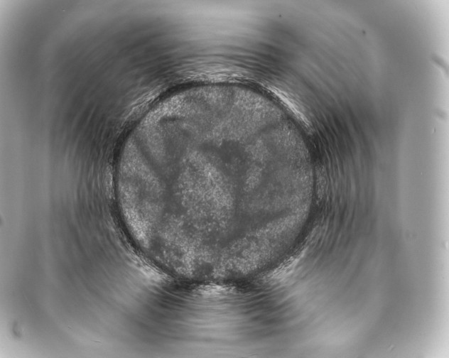 X0000094960453200712271723
