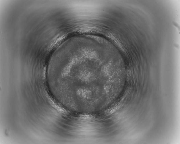 X0000094960454200712271723