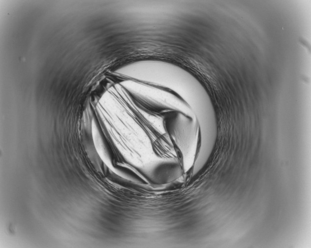 X0000094960456200712271723