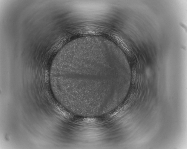 X0000094960457200712271723