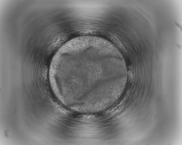 X0000094960458200712271723