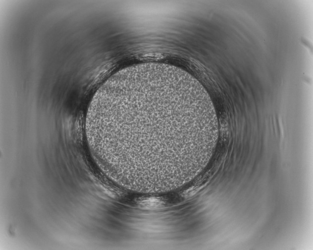 X0000094960460200712271723