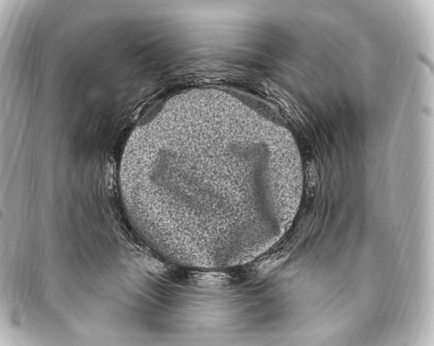 X0000094960463200712271723
