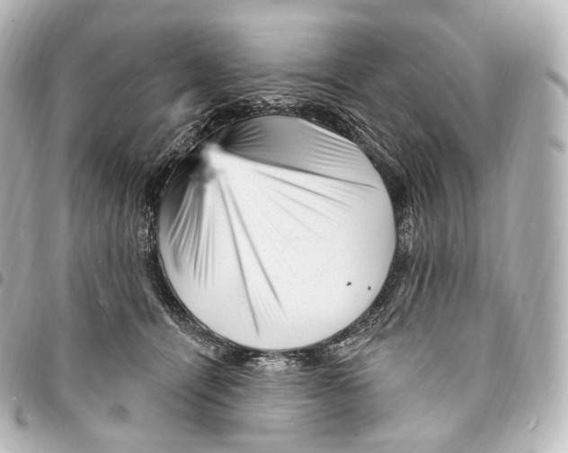 X0000094960464200712271723