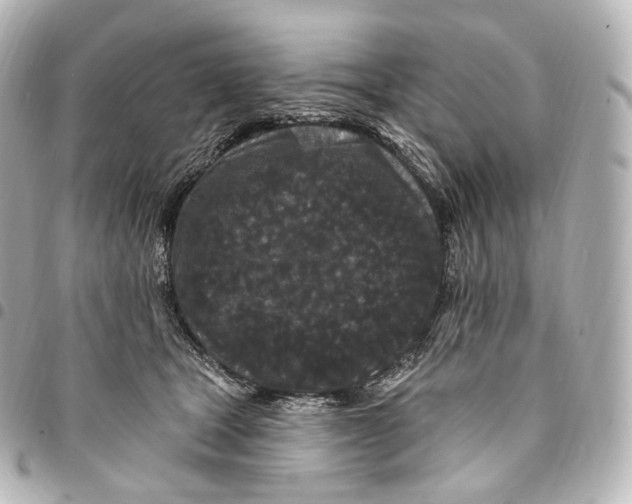 X0000094960465200712271723