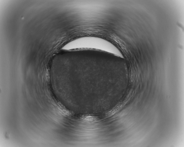 X0000094960467200712271723