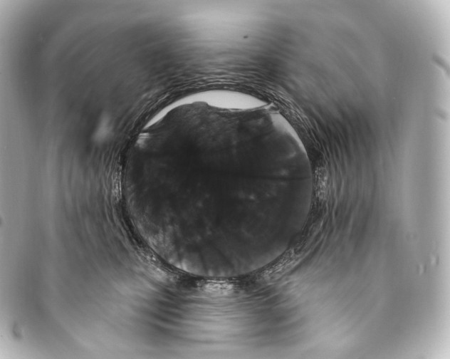 X0000094960471200712271723