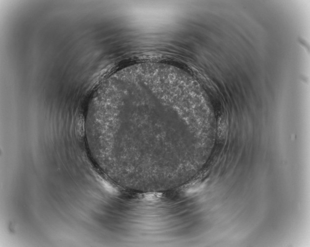 X0000094960474200712271723
