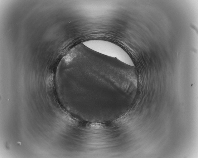 X0000094960475200712271723