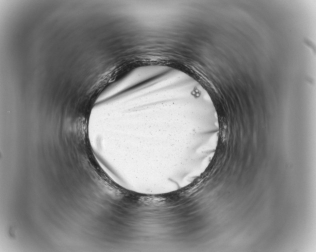X0000094960476200712271723