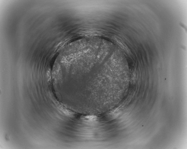 X0000094960478200712271723