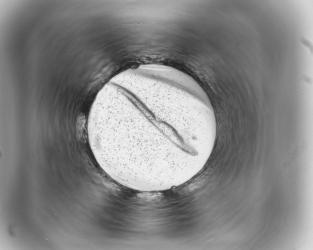 X0000094960480200712271723