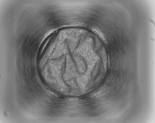 X0000094960483200712271723