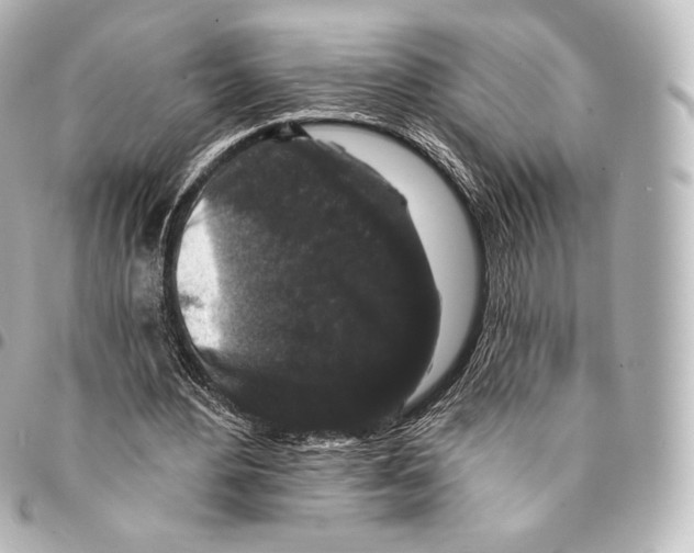 X0000094960484200712271723