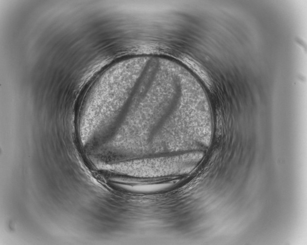 X0000094960485200712271723