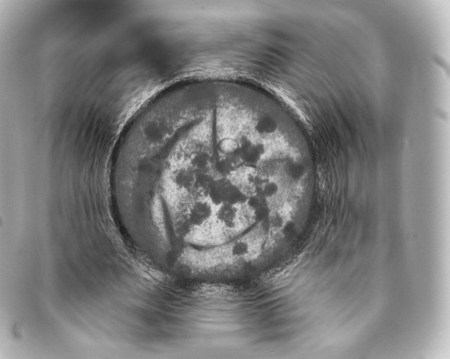 X0000094960487200712271723