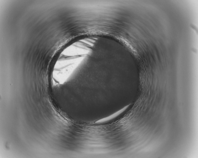 X0000094960488200712271723