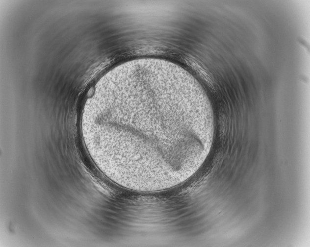 X0000094960490200712271723