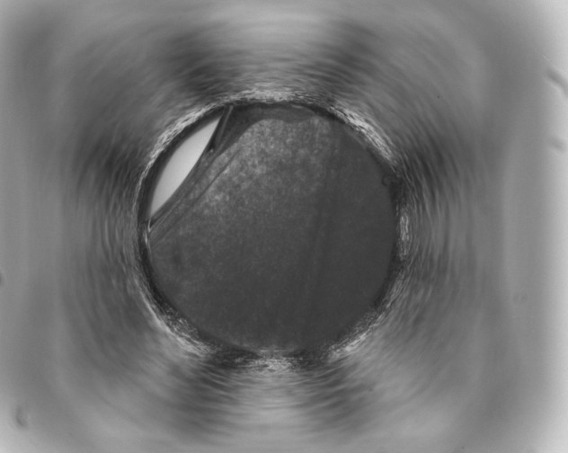 X0000094960492200712271723