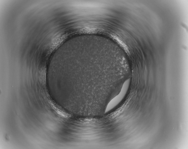 X0000094960493200712271723
