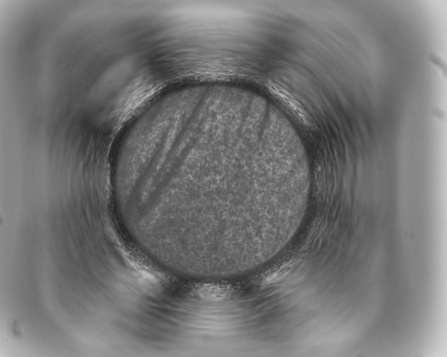 X0000094960494200712271723