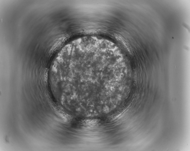 X0000094960495200712271723