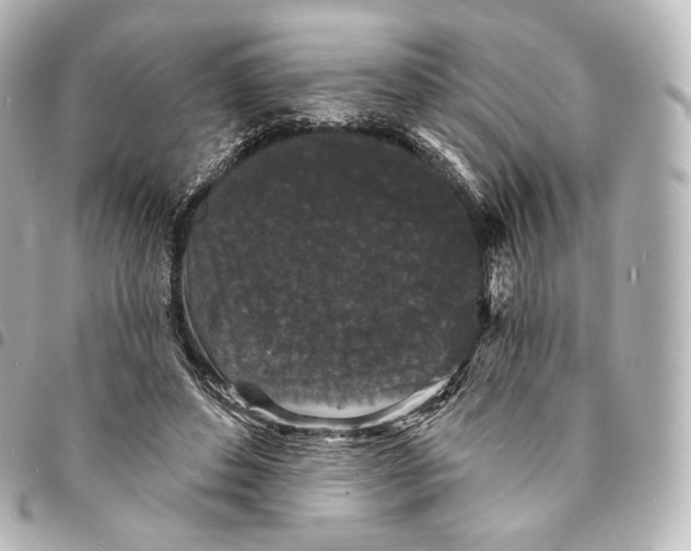 X0000094960496200712271723