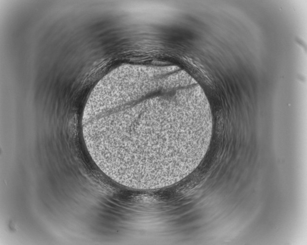 X0000094960498200712271723