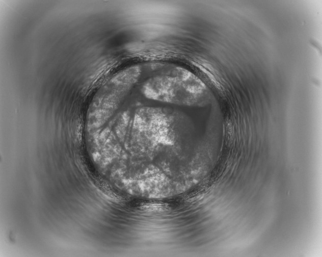 X0000094960499200712271723