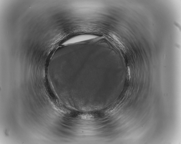 X0000094960500200712271723