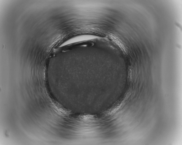 X0000094960501200712271723