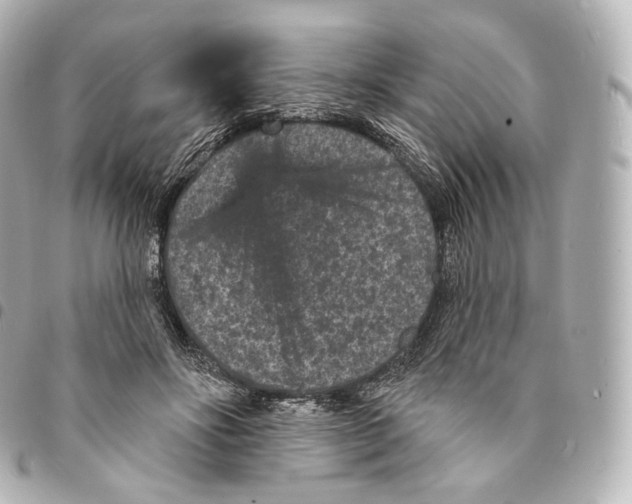 X0000094960502200712271723