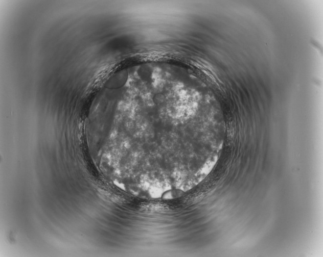 X0000094960503200712271723